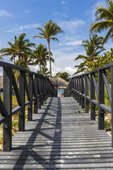 Similar image 21786266