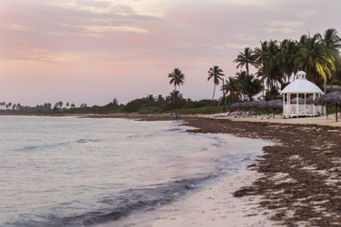 Similar image 21786269