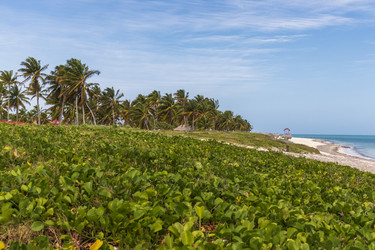 Similar image 21786270