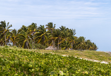 Similar image 21786274