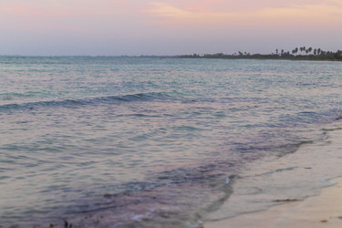 Similar image 21786275