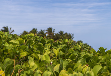 Similar image 21786276