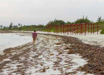 Similar image 21786277