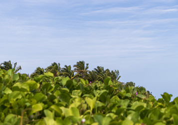 Similar image 21786278