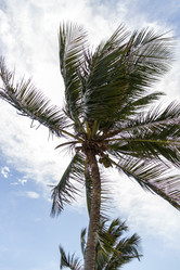 Similar image 21786280