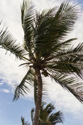 Similar image 21786282