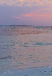 Similar image 21786288