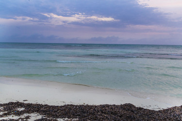 Similar image 21786290