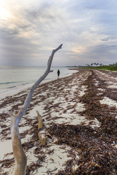 Similar image 21786293