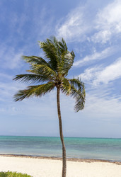 Similar image 21786294