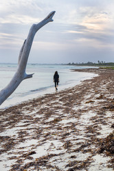 Similar image 21786295