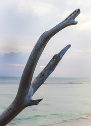 Similar image 21786297