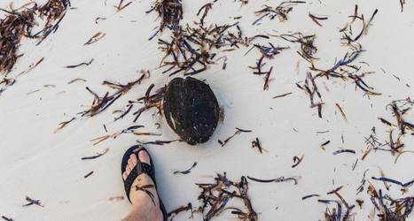 Similar image 21786298