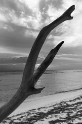 Similar image 21786610