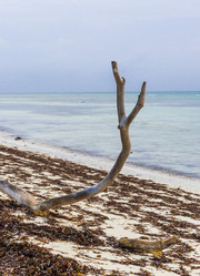 Similar image 21786612