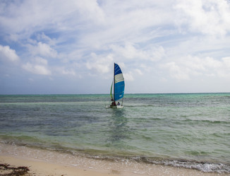 Similar image 21786613