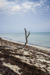 Similar image 21786614