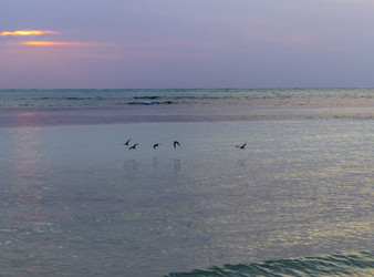 Similar image 21786616