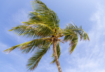 Similar image 21786619