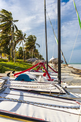 Similar image 21786622