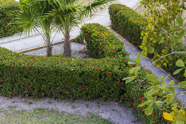 Similar image 21786627