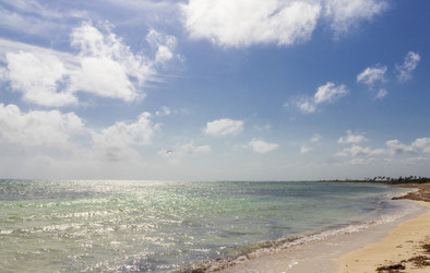 Similar image 21786850