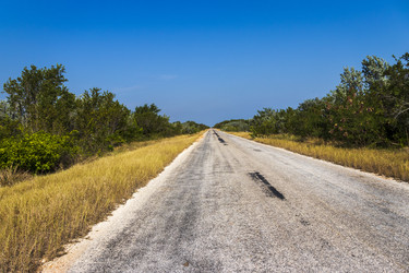 Similar image 21786855