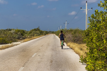 Similar image 21786858