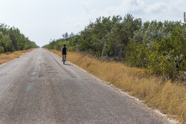 Similar image 21786299