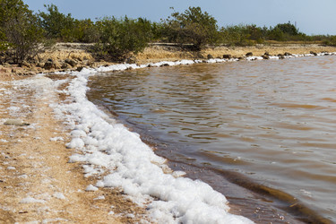 Similar image 21786300