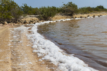 Similar image 21786301