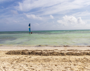 Similar image 21786302