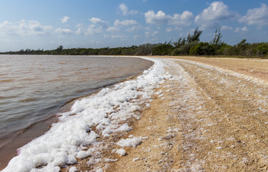 Similar image 21786303