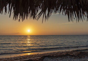 Similar image 21786304