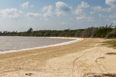 Similar image 21786305