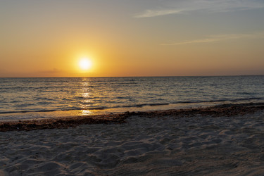 Similar image 21786306