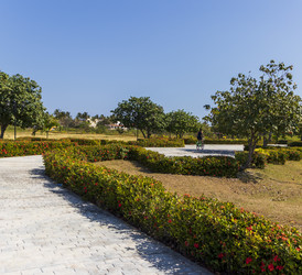 Similar image 21786307