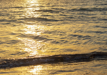 Similar image 21786308