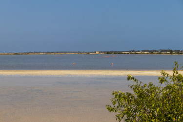 Similar image 21786309