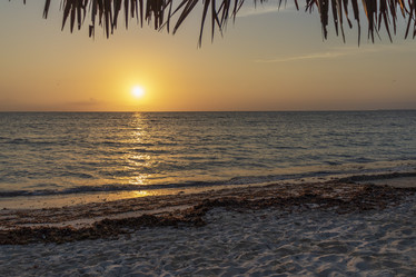 Similar image 21786314