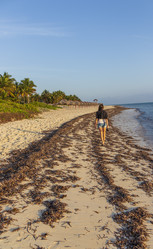 Similar image 21786323