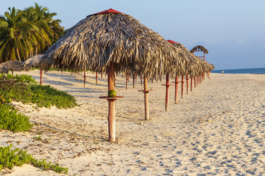 Similar image 21786325