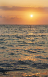 Similar image 21786328