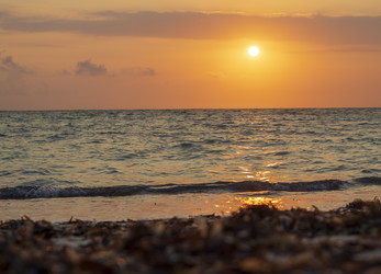 Similar image 21786333