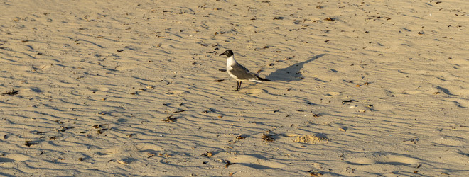 Similar image 21786336