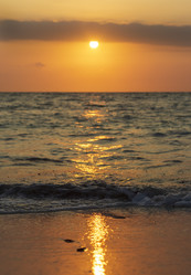 Similar image 21786337