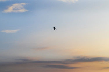 Similar image 21786338