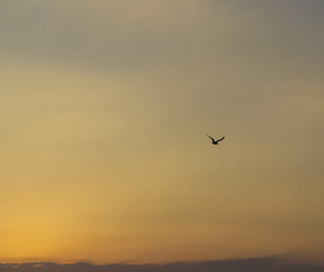 Similar image 21786340