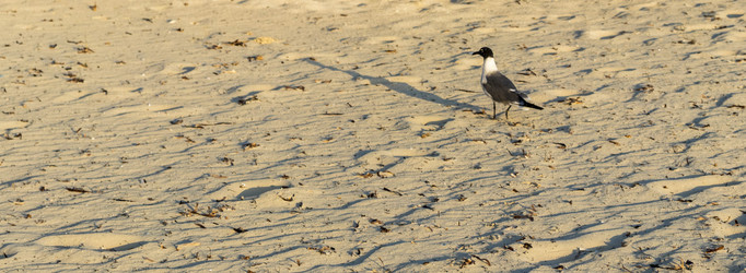 Similar image 21786343