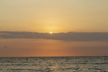 Similar image 21786344